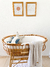 CHICHONERA MOISES (con base) - comprar online