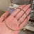 Brazalete Cherna en internet