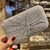 Clutch Julien Plateado