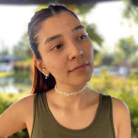 Choker LIYAN TRANSPARENTE - comprar online