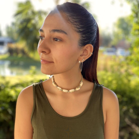 Choker JINAN - comprar online