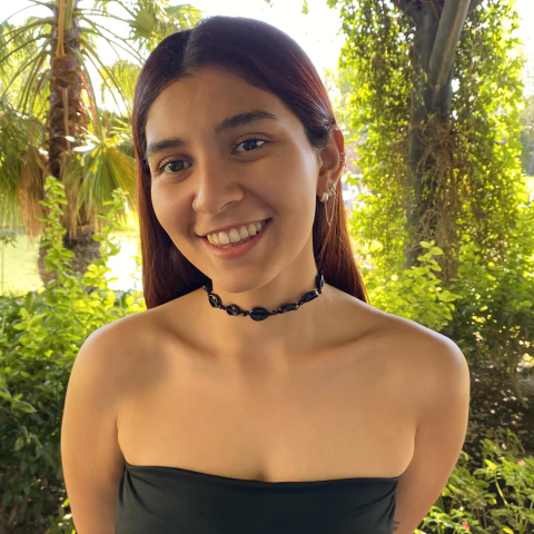 Choker BAVIYAN NEGRO - comprar online