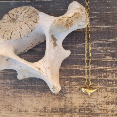 Ballena Franca Austral - comprar online