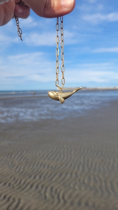 Ballena Franca Austral