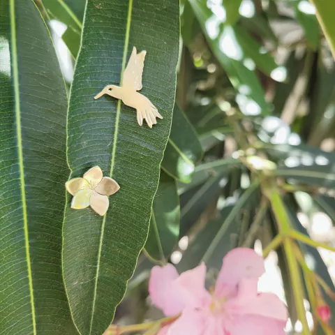 aros Colibri "plantá nativas"