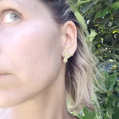 aros Colibri "plantá nativas" - comprar online