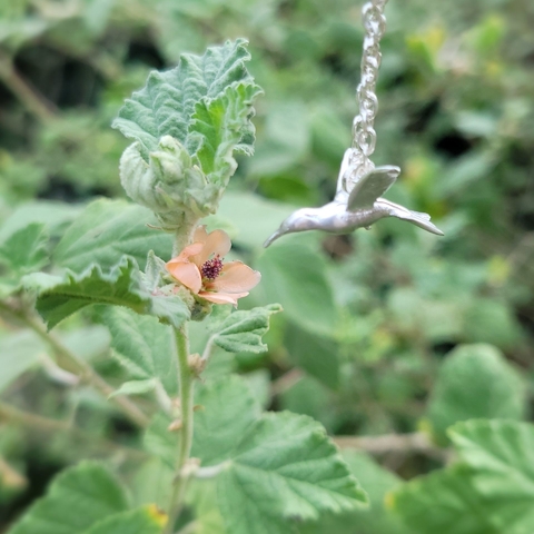 Collar Colibrí