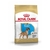 Royal Canin boxer junior