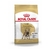 Royal Canin bulldog francés adulto