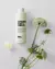 Acondicionador Amplify 250ml - Authentic Beauty - tienda online