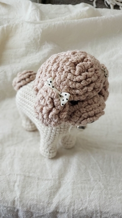 Dulce caniche micro toy - tienda online