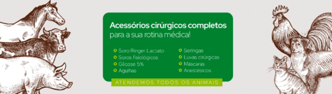 Carrossel 1