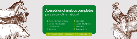 Carrossel 1