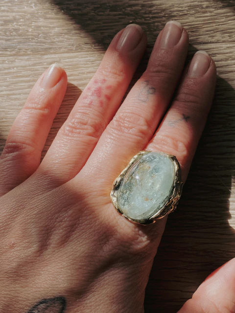Anillo TERRA