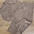 CONJUNTO MILI - comprar online
