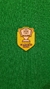 Patch Campeão Copa do Brasil 2024 Personalização Flamengo na internet