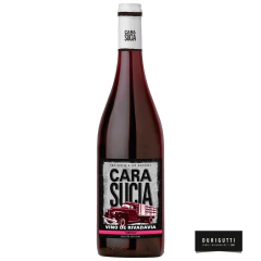 Cara Sucia Nebbiolo 2020 by Durigutti - comprar online