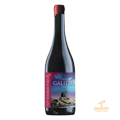 Galileo Bonarda Puro 2019 - comprar online