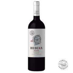 Hedera Malbec 2020 by Raffy Zanchetta