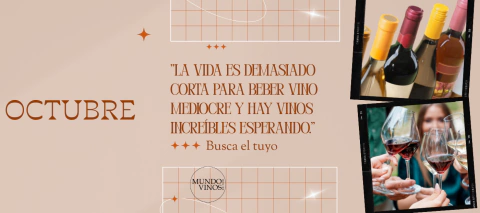 Carrusel Mundo Vinos de Noe