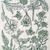 PAPELES DE TRANSFERENCIA PARA CERAMICA. JARDIN BOTANICO - comprar online