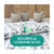 Banner de Ceramicas Jarros
