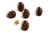 SCG52 3D - CHOCO SPIRAL