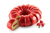 MOLDE KIT RED TAIL SILIKOMART - comprar online