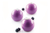 MOLDE TRUFFLES 70 SILIKOMART - tienda online