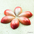 Imagen de QUENELLE FRANK HAASNOOT 1673CW