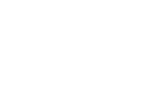 Mirkkema