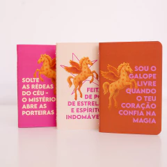 Pack Galopeira da Galáxia - 1 Agenda Estrela Torta + 1 Caderno Asas + Guia digital de Previsões 2026 + 3 caderninhos pocket