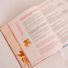 Pack Estrela Disruptiva - 1 Agenda Estrela Torta + 1 Guia de Previsões 2026