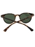 Óculos de Sol Pequim Animal Print G15 Feminino - comprar online