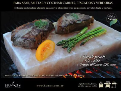 BLOQUE DE SAL DEL HIMALAYA