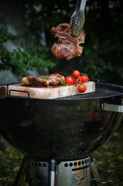 BLOQUE DE SAL DEL HIMALAYA - tienda online