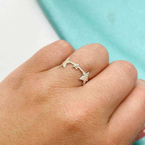 ANILLO ESTRELLAS LABRADAS - PL - comprar online