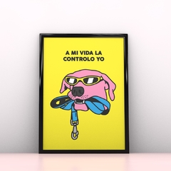 A Mi Vida La Controlo Yo