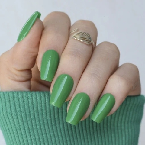 Gel Color JUNGLE FEVER - comprar online