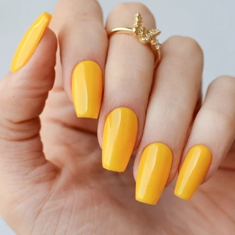Gel Color ACCIO - comprar online