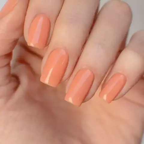Rubber Base Coat AUTUMN MAPLE - comprar online