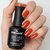 Gel Color THE CLOWN - comprar online