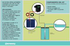 BOMBA SOLAR DUAL SP5-15 6 PANLES DE 310w (Pozo profundo) - comprar online