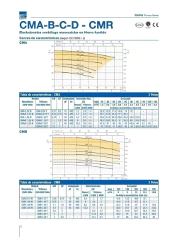 BOMBA CMC 100 T.EBARA 1HP IMP.FUNDIC. en internet