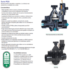 ELECTROVALVULA 2" RAIN BIRD Serie PGA en internet