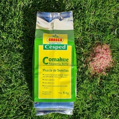 SEMILLAS DE CÉSPED 10KG MEZCLA MIX COMAHUE PATAGONIA GUASCH en internet