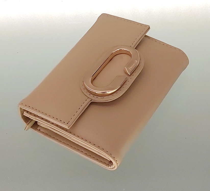 CARTEIRA VICENZA NUDE