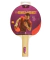 Paleta Ping Pong Sensei 1 Star