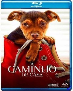 A Caminho de Casa (2019) Blu-ray Dublado Legendado