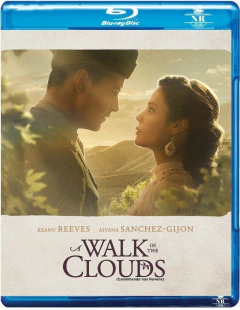 Caminhando nas Nuvens (1995) Blu-ray Dublado Legendado